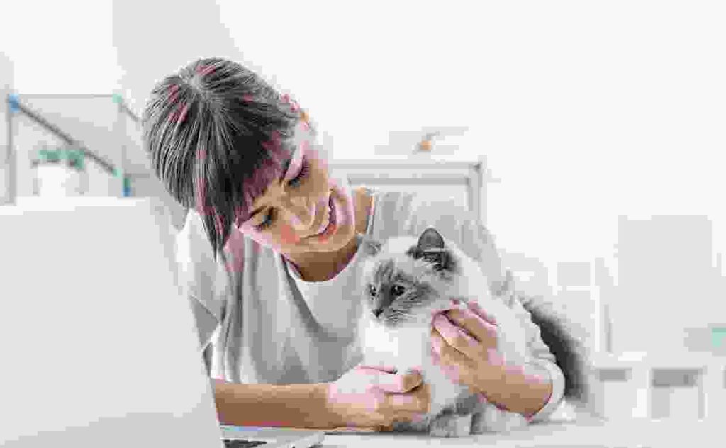 The best care takers of any kind of pets Blog1 1 1024x632