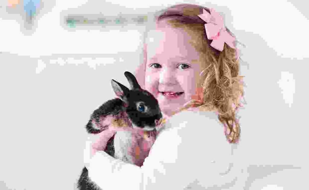 Donec efficitur velit ac nisi rutrum Blog10 1024x632