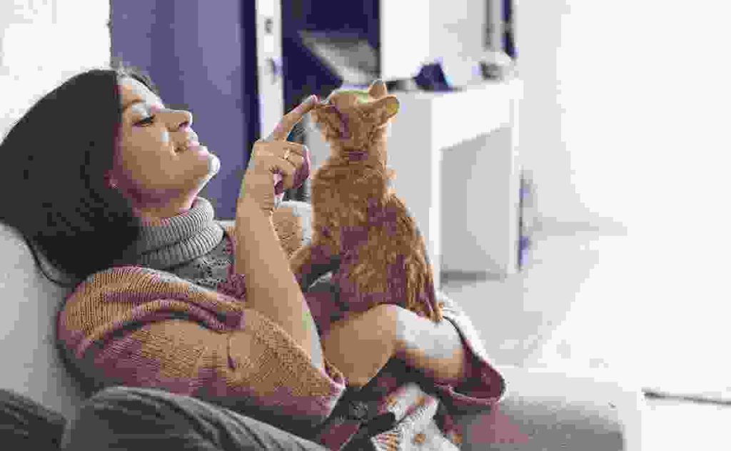 Aenean accumsan ligula diam Blog11 1024x632