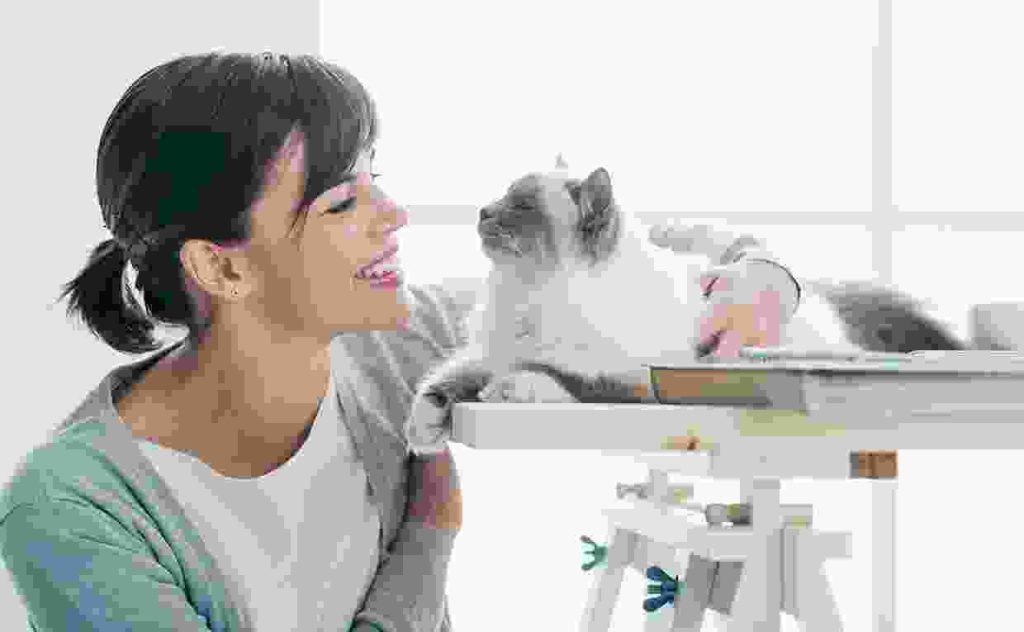 Quisque egestas rhoncus mauris Blog3 1 1024x632