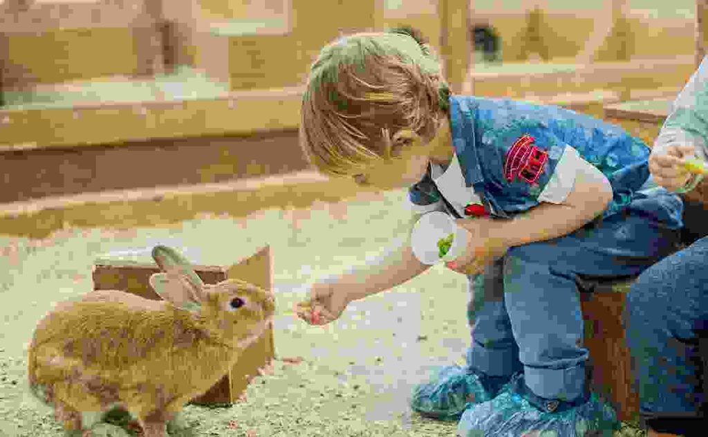 Proin tincidunt nunc lorem Blog4 1 1024x632