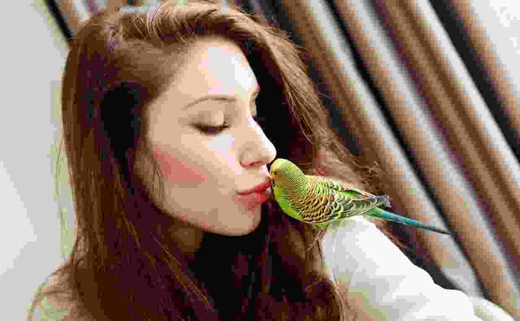 Praesent iaculis tortor viverra Blog5 1 1024x632