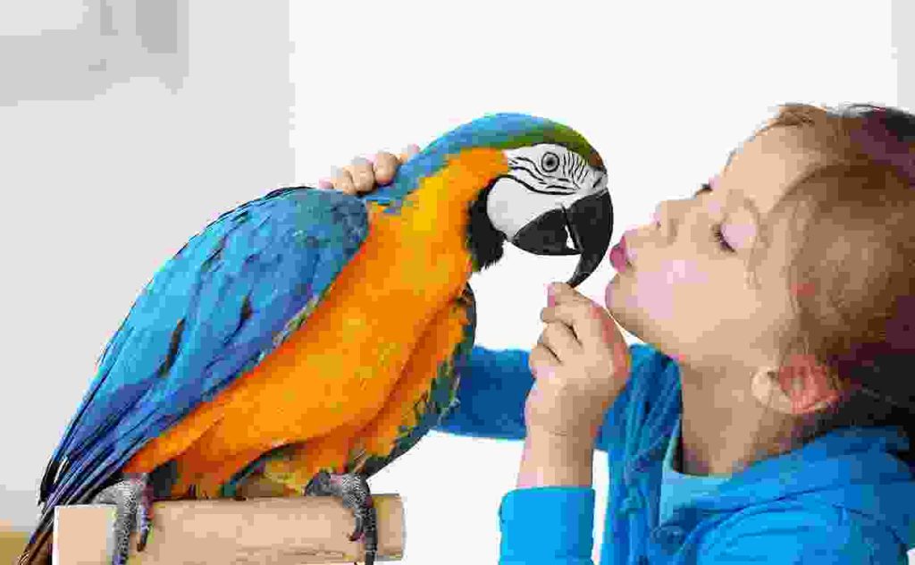 Nam sodales tincidunt nunc Blog6 1024x632