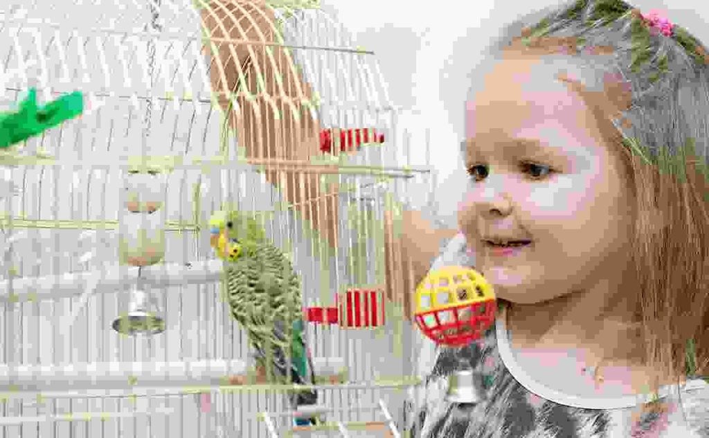 Integer at diam gravida purus Blog8 1024x632