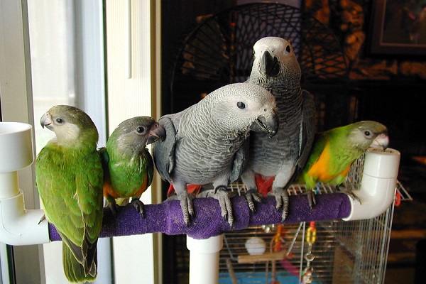 Home 158529170 de33b60175 c